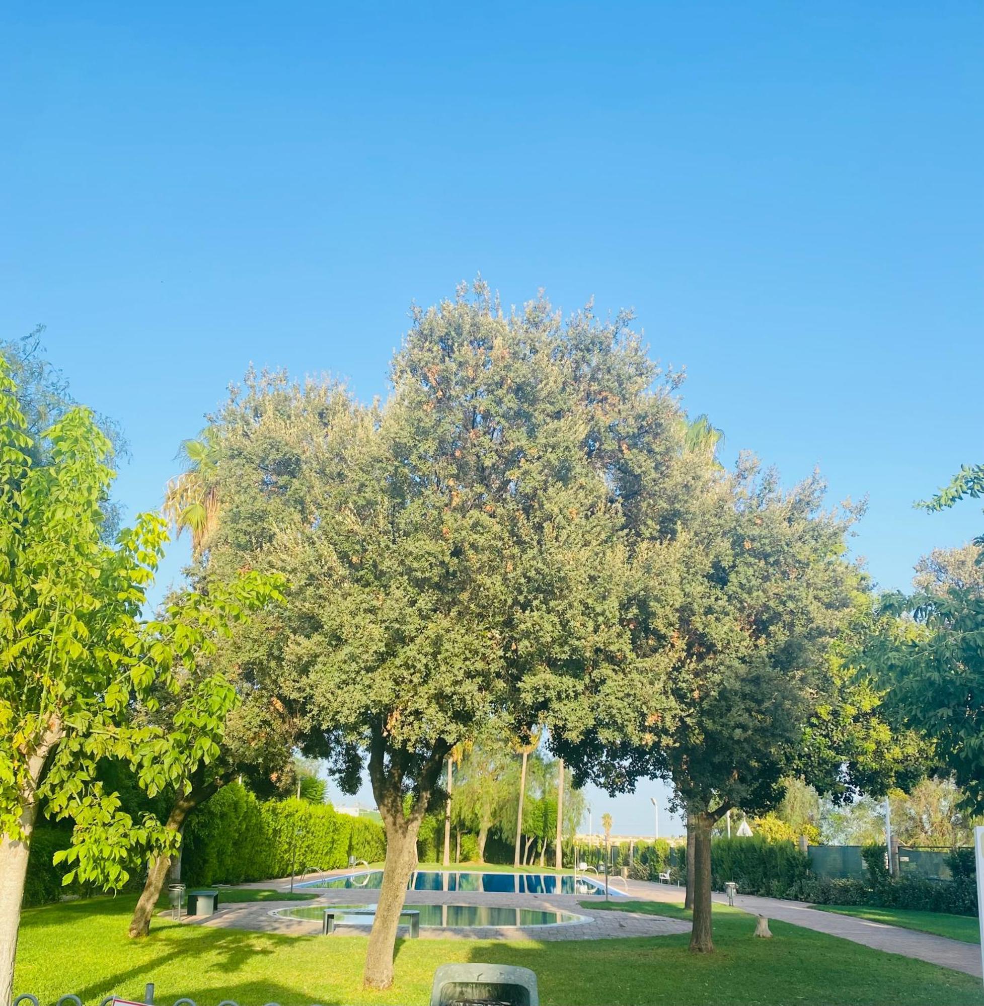 Studio Palomar - Palomargroup Alfara Del Patriarca エクステリア 写真